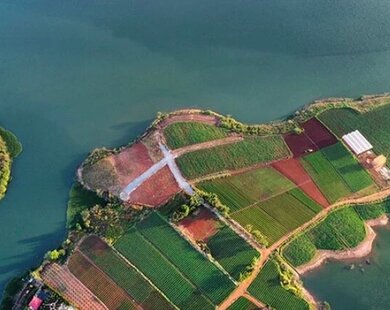 Dự án khu đô thị 12.000 tỷ đồng tại Lâm Đồng mà Liên danh Ecolives - Ecopark quan tâm tiếp tục được gia hạn thời gian tìm thêm nhà đầu tư