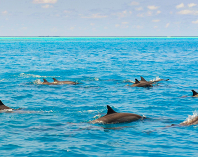 Sáu hòn đảo – Một tầm nhìn: SIX & SIX PRIVATE ISLANDS công bố kế hoạch tái định hình thị trường bất động sản nghỉ dưỡng cao cấp tại Maldives