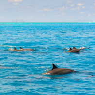 Sáu hòn đảo – Một tầm nhìn: SIX & SIX PRIVATE ISLANDS công bố kế hoạch tái định hình thị trường bất động sản nghỉ dưỡng cao cấp tại Maldives
